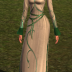 Exquisite Elven Dress